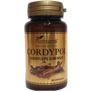 Producto relacionad Cordypol (cordyceps sinensis) 60 cáps Plantapol