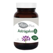 Astrágalus, 60 comp. 625 mg  El Granero Integral