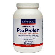 Vista principal del pea Protein (Proteina de Guisante) 750gr Lamberts en stock