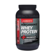 Whey Protein (sabor Vainilla) 1Kg Lamberts Sport