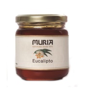 Vista frontal del tarro de miel eucalipto 250 gr Muria en stock