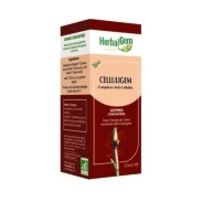 Celluligem Bio 50ml HerbalGem