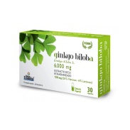 Vista frontal del ginkgo Biloba Premium 30 Cápsulas Nature Essential en stock
