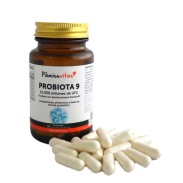 Producto relacionad Probiota 9 12.000m 30 caps Pàmies vitae