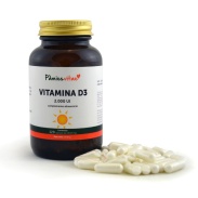 Vista frontal del vitamina D3 Pàmies Vitae en stock