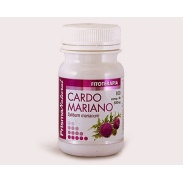 Cardo Mariano 100 comprimidos 500 mg Prisma Natural