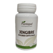 Producto relacionad Jengibre zingiber officinalis 60 comp. Plantapol