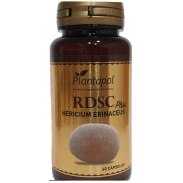 RDSC plus melena de león (hericium erinaceus) 60cáps Plantapol