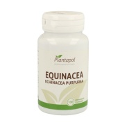 Producto relacionad Equinacea 100 comp Plantapol