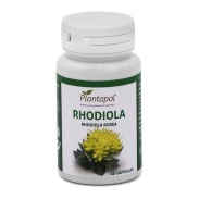 Rhodiola rosea 45 cáps Plantapol
