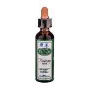 Vista frontal del bach recovery plus 20ml  Ainsworths