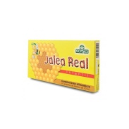 Jalea Real Infantil 10 ampollas Sotya