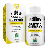 Gastro Support 60 cápsulas VitOBest