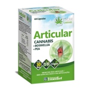 Articular 60 cáps zentrum cannabis Ynsadiet